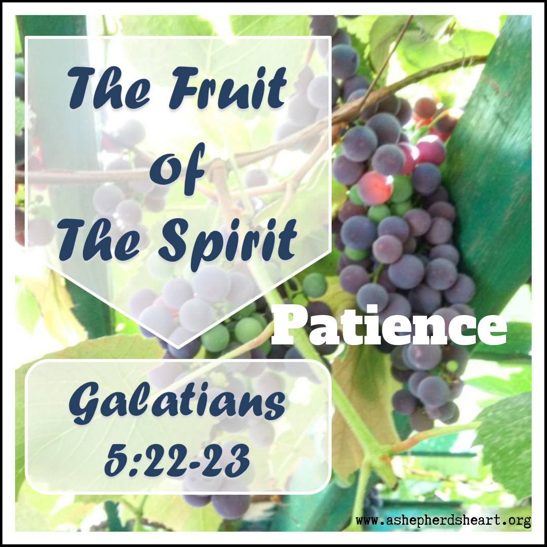 A Shepherd's Heart The Fruit of The Spirit Patience