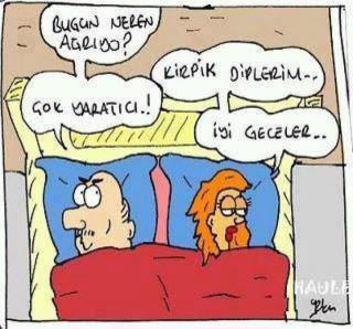 cinsel hayvan ilişkileri cinsel hayvan ilişkileri