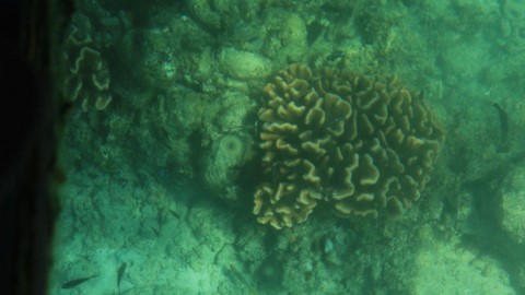 8 Best Places To Travel In Port Blair, India 8 Best Places To Travel In Port Blair, India