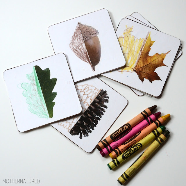 Nature Art and Crafts Printable STEAM Activities