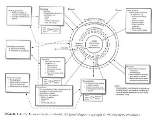 Thesis systems theory