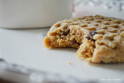 Peanut Butter Oatmeal Chocolate Chip Cookies, Peanut Butter Cookies, Nordic Ware Cookie Stamp, Christmas Cookies, Chocolate Chip Cookies Peanut Butter Oatmeal Chocolate Chip Cookies, Peanut Butter Cookies, Nordic Ware Cookie Stamp, Christmas Cookies, Chocolate Chip Cookies