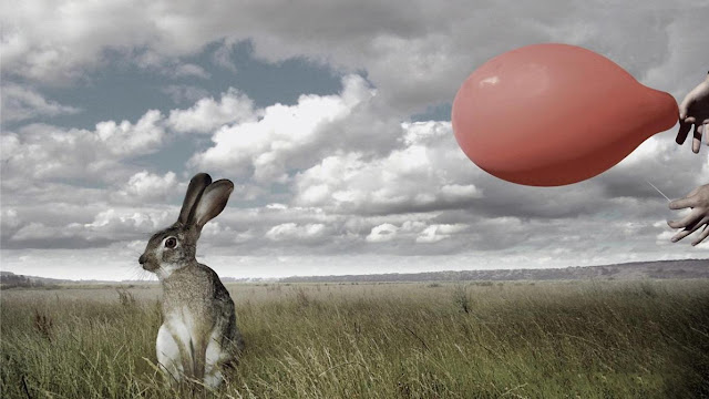 rabbit, bunny, red ballon,