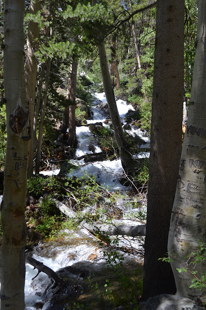 rampaging water