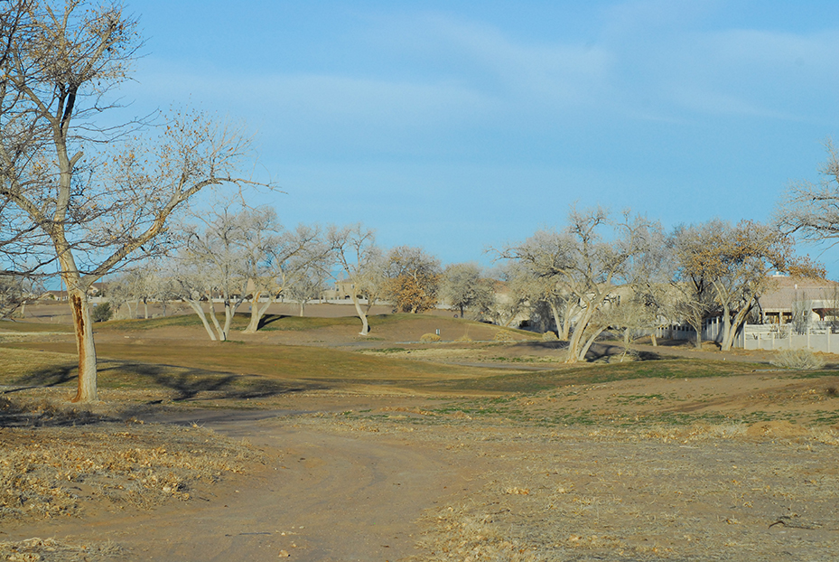 Mark Scott District 4 Rio Rancho Some Thoughts In Regards to 'Saving