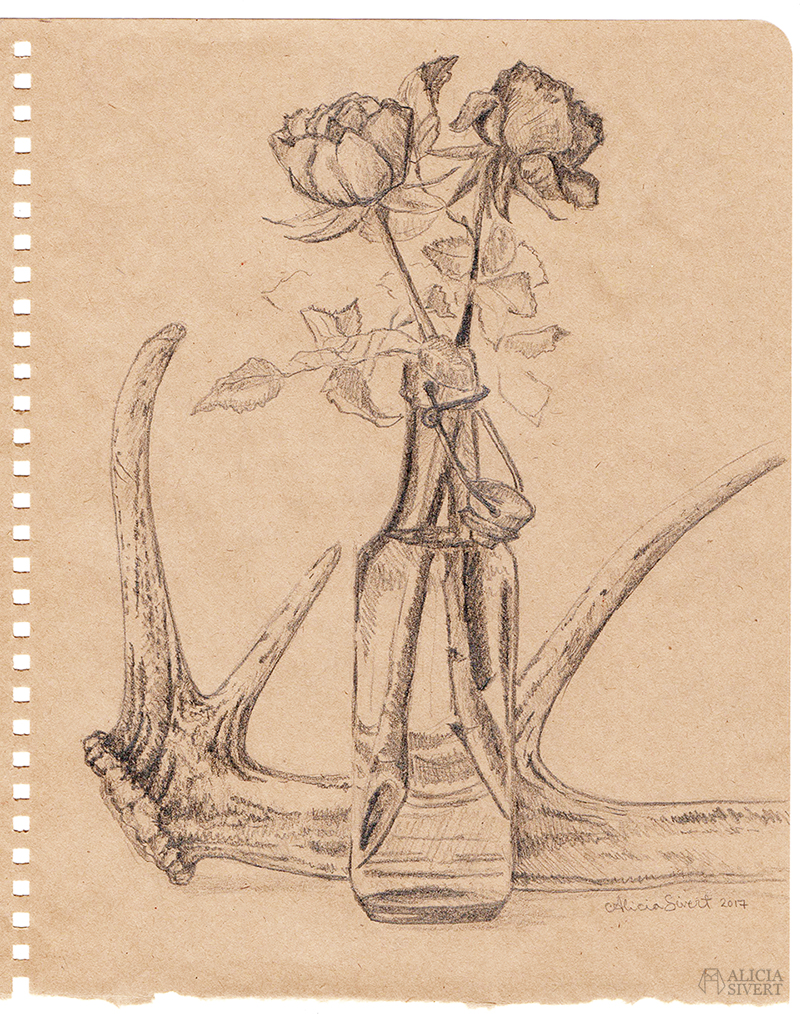 Antler and rose drawing by Alicia Sivertsson. aliciasivert alicia sivert sivertsson antler antlers horn hjorthorn flaska bottle ros rosor roses drawing teckning sketch skiss konst art artist teckningar drawings blyerts