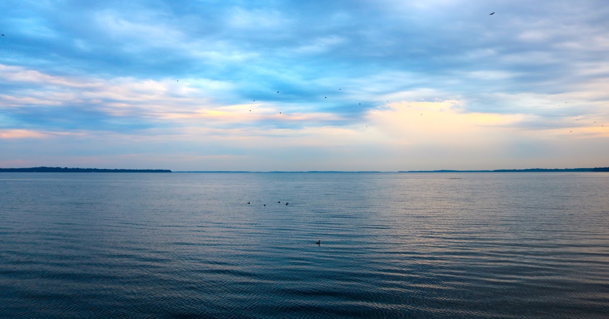 Phillip's Natural World Florida's 10 Largest Lakes