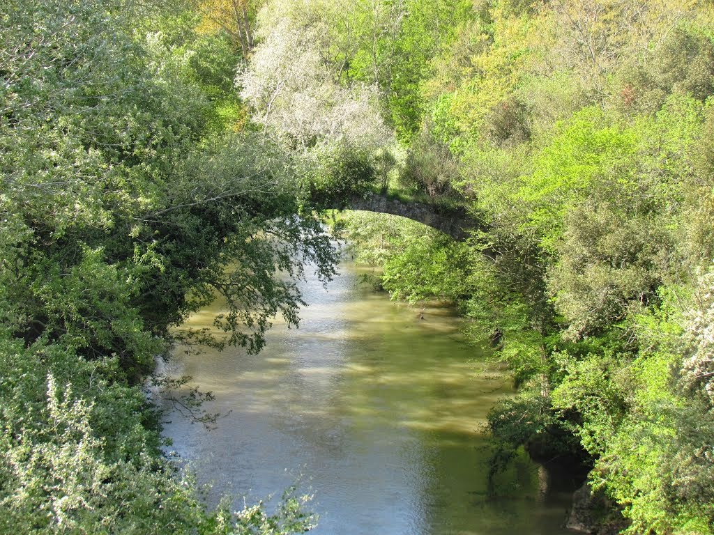 i lentischi La valle del Fiora e i Monti di Castro. Di