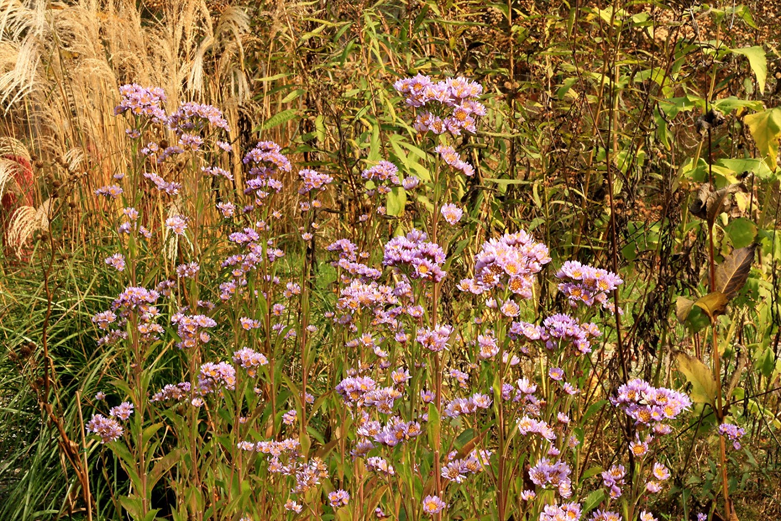 paradis express View from Federal Twist