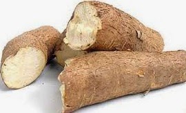 Cassava was introduced into Africa by Portuguese traders 