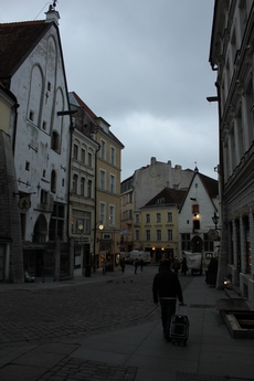 Día 8: Tallin. - Navidades en el Báltico (19)