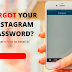 What Do I Do when I forgot My Instagram Password