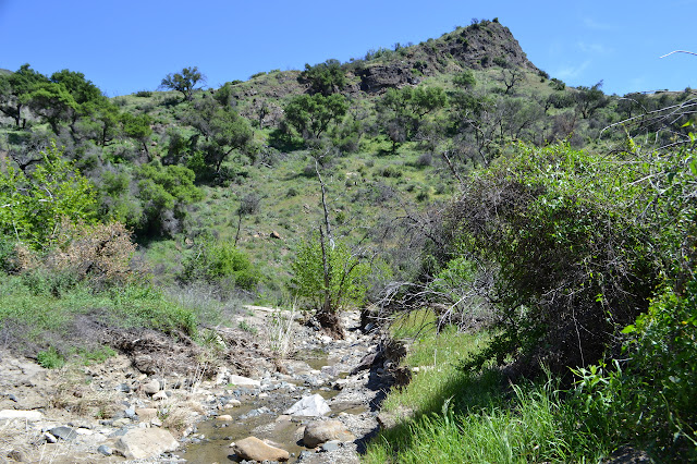 Aliso Creek