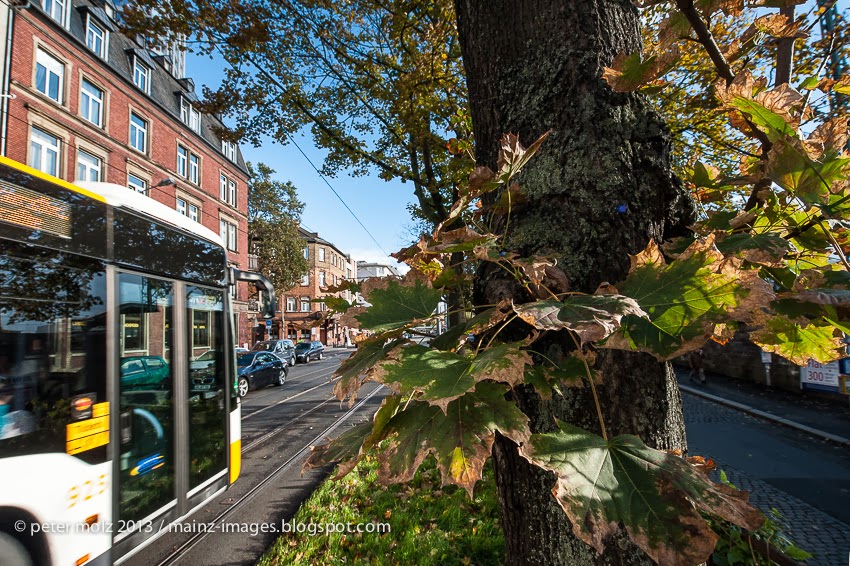 MainzImages KaiserWilhelmRing im Herbst 2013