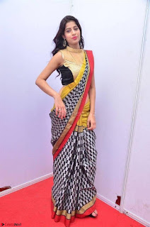 Naziya Khan Model in Saree At Kala Silk Handloom Expo Dec 2017~  Exclusive Galleries 004