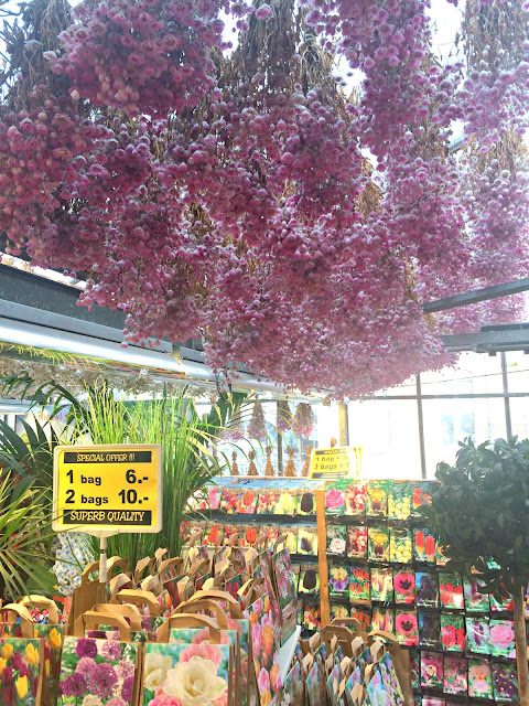 Amsterdam Floating Flower Market Bloemenmarkt Amsterdam Floating Flower Market Bloemenmarkt