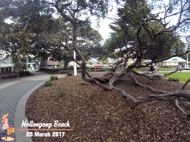 wollongong beach