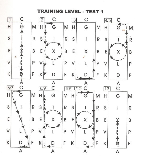 Bel Joeor Training Level Test 1