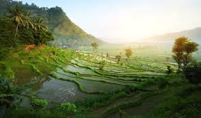 where to stay in bali ? where to stay in bali ?