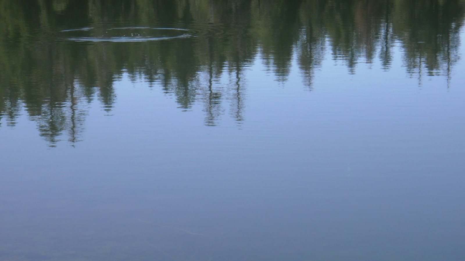 Sawmill Lake Fly Fishing 2015