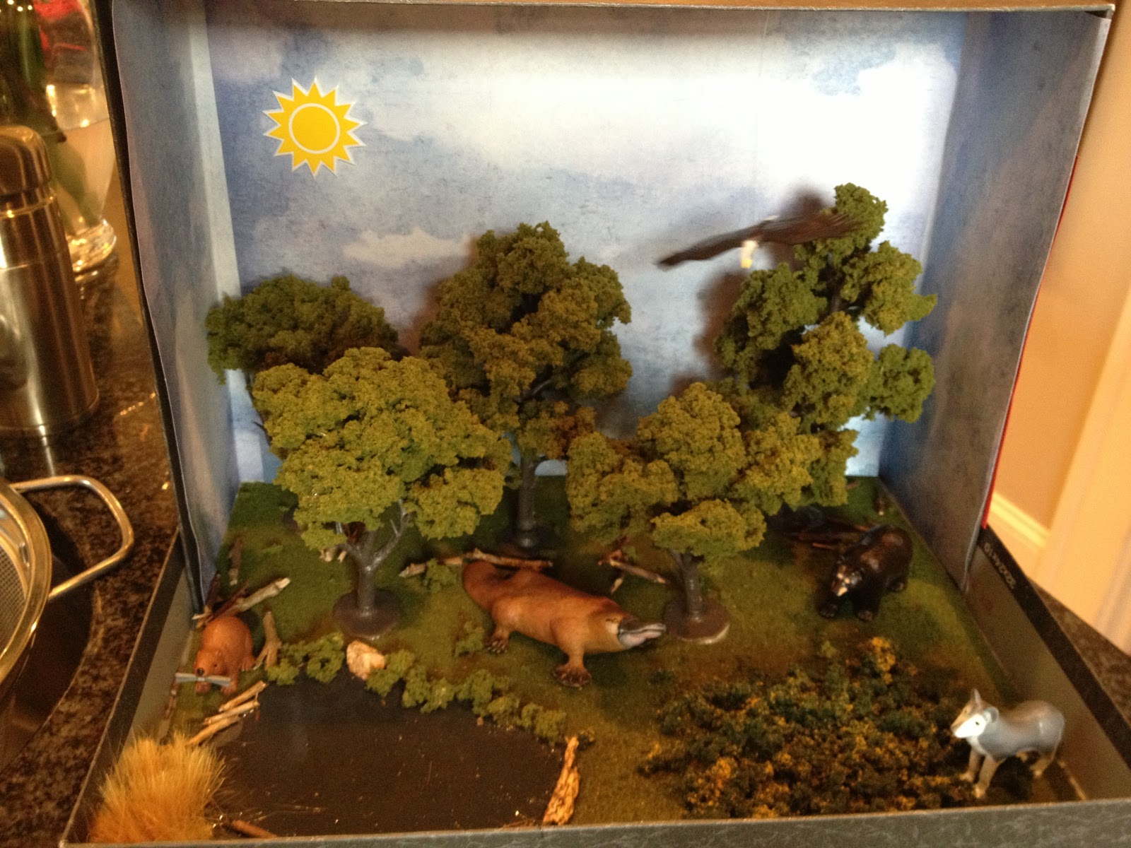 Deciduous forest diorama