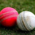 क्रिकेट इतिहास संक्षेप में-2019| World Cricket History
