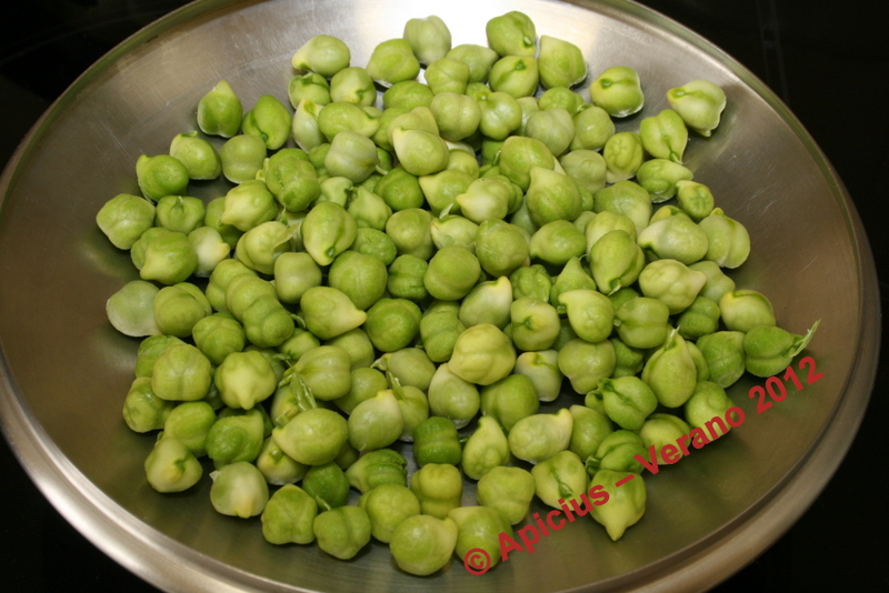Garbanzos verdes, algo he preparado con ellos La Cocina Paso a Paso