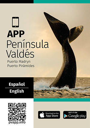 Guía Viajera de Península Valdés