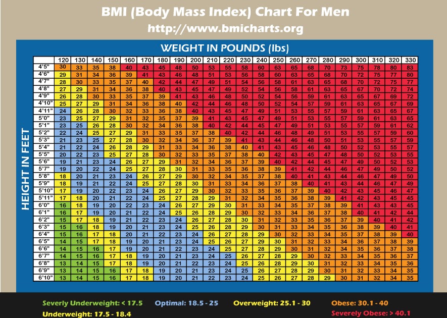 Bmi Chart Men Women