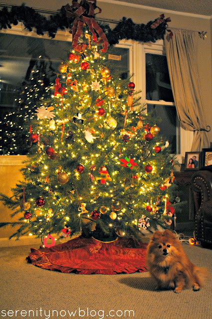 Christmas Tree, from Serenity Now blog