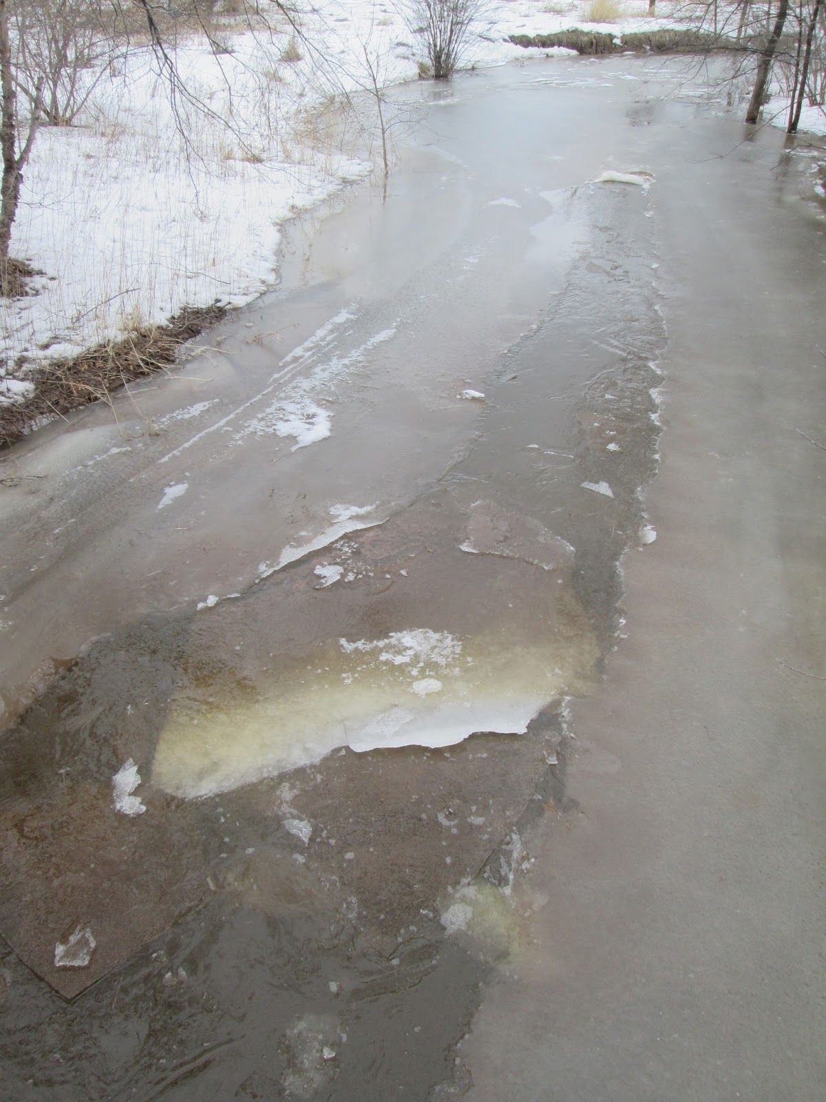 Without Excuse: 10 Early Signs that Spring has Come to Wisconsin