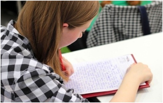 Write my essay help uk