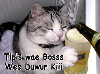 Kumpulan Gambar Lucu Gokil Terbaru Humor Meme Kucing