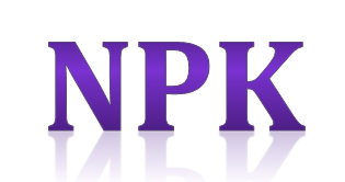 Syarat Dan Cara Mendapatkan Npk Panduandapodik Id