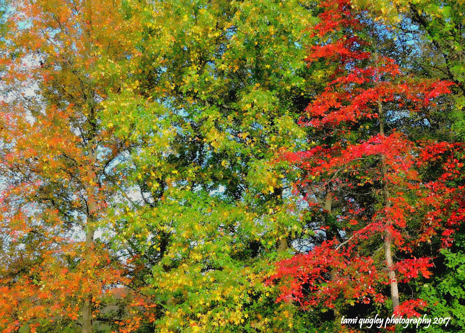 Nature It S Everything Art Poem Music Around Us Nature It S Everything Art Poem Music Around Us
