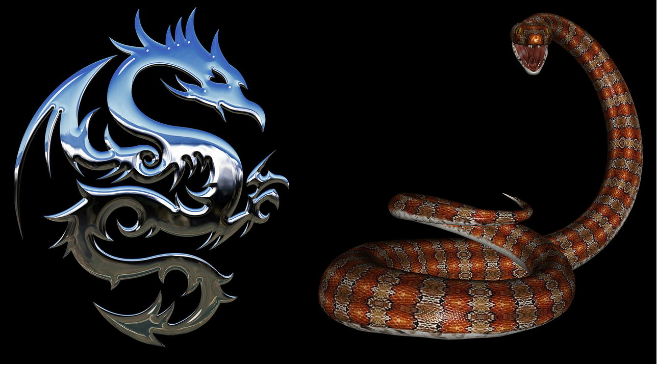 Рыба змея совместимость. Дракон змей. Дракон и змея совместимость. Драконья змея. Дракон змейка.
