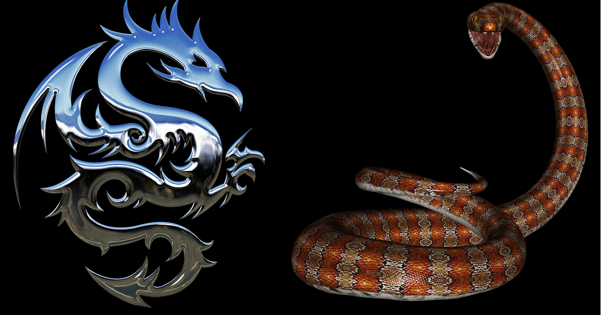 Horóscopo Chino Serpiente Compatibilidad con un Dragón