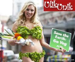 Contoh Bikini dari Sayuran Contoh Bikini dari Sayuran