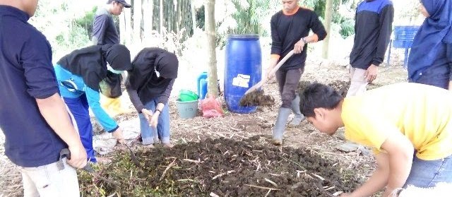 Ini Dia Pakan Lele Buatan Sendiri dan Sederhana