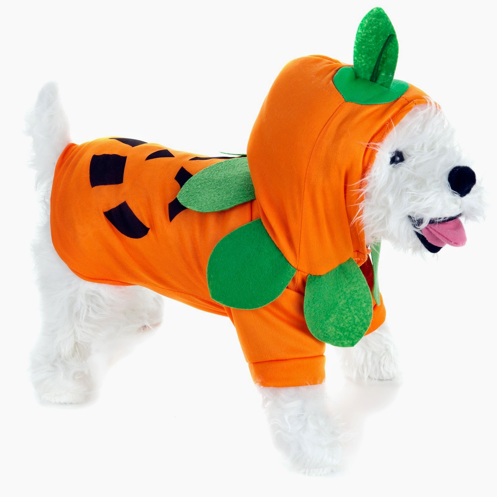 Rules of the Jungle When do you need the large dog costumes?