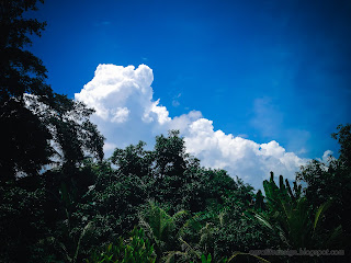 Tropical Cloudscape And Natural Trees On A Sunny Day At Tangguwisia Village, North Bali, Indonesia