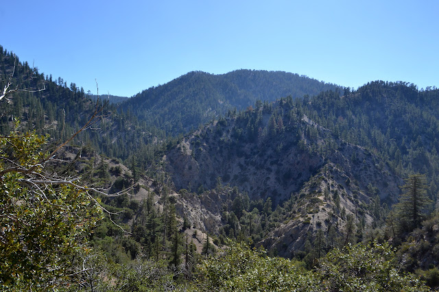 up canyon