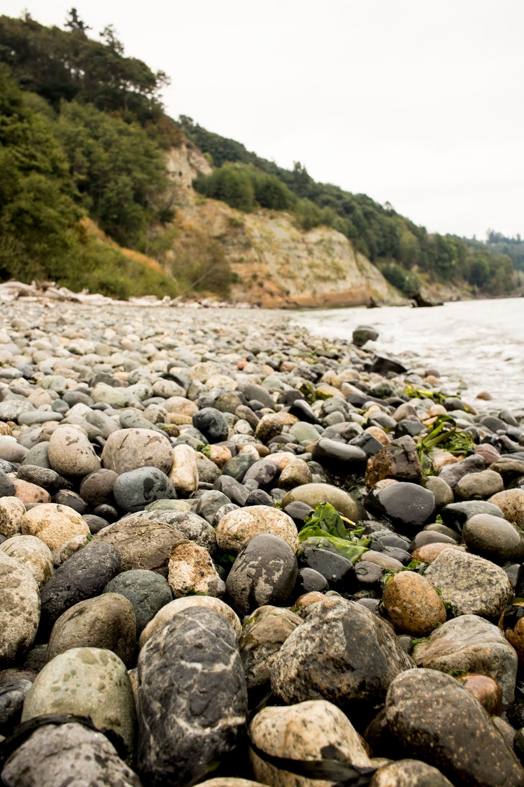 Discovery Park, Seattle, things to do in Seattle, Lumiére and Lens