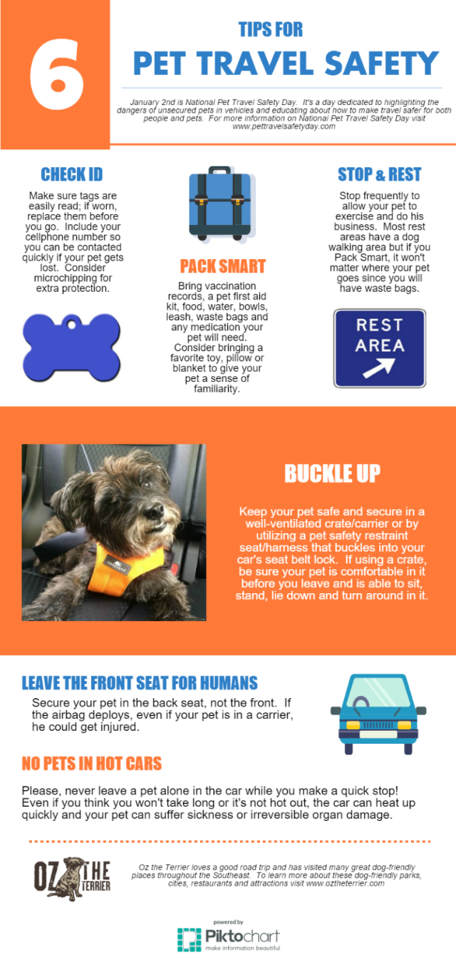 PetTravel Safety Tips for FUN Memorial Day Weekend BeSleepypodSafe