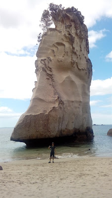 Intercâmbio Nova Zelândia - A exótica praia de Cathedral Cove em Coromandel