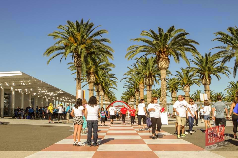 Walk To Defeat Als 2017 The Ociation Orange County Walk To Defeat Als 2017 The Ociation Orange County Chapter 11 8 14