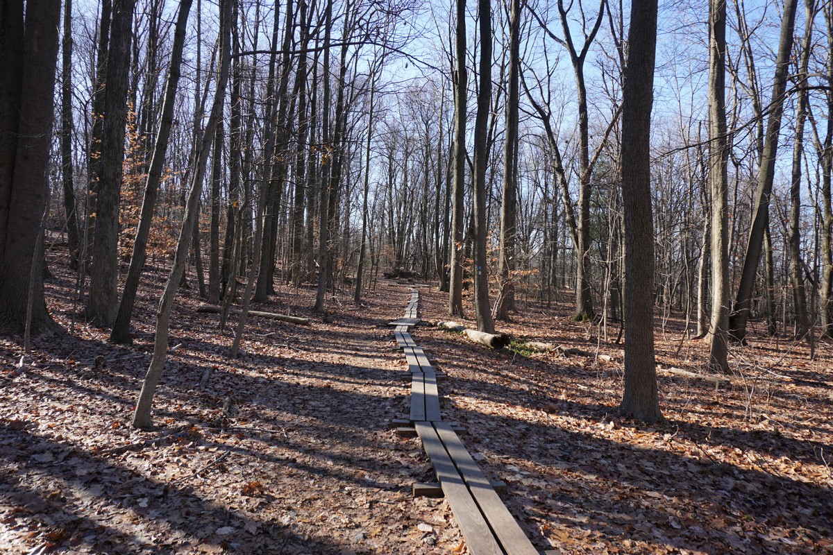 Harriman Hiker Harriman State Park and Beyond Flat Rock Brook Nature