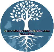 Presidente dell' Associazione culturale Guardiesisinascesidiventa Nino Sica