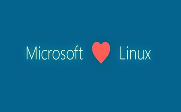 mslinux mslinux