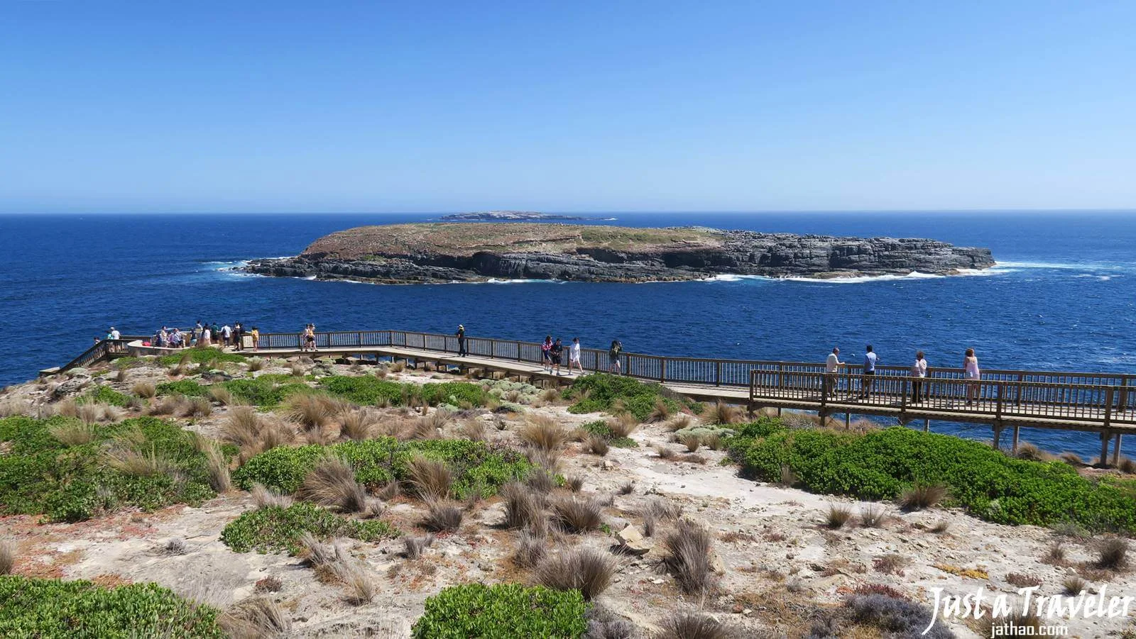 阿德萊德-袋鼠島-Kangaroo-Island-旗艦拱門-Admirals Arch-交通-景點-行程-推薦-遊記-自由行-旅遊-一日遊-二日遊-Adelaide-阿得雷德